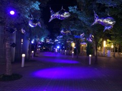 夜の遊園地②